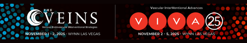 VIVA & The VEINS 2025 Main banner